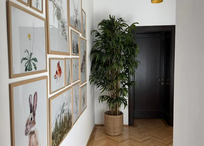 Nature-Inspired Stay In Piata Sfatului